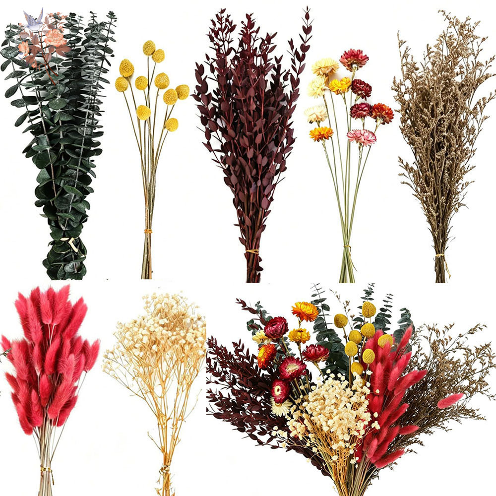Dried Flowers Bulk Set 7 Kinds - Florist Flower Supply review and price