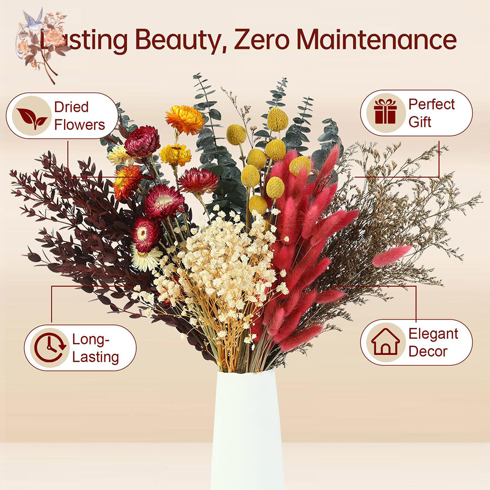 Dried Flowers Bulk Set 7 Kinds - Florist Flower Supply review and price