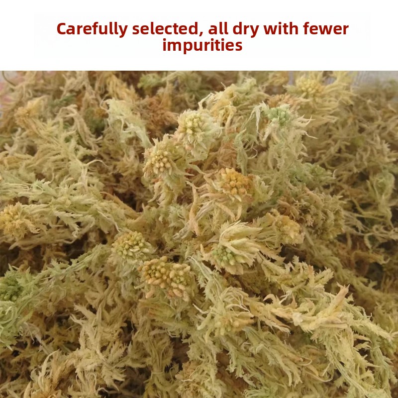 Grade A Dried Sphagnum Moss, N - Preserved Moss Sheet review and price