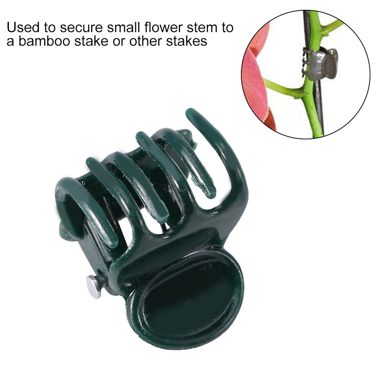 100pcs Mini Plant Clips Garden - Florist Supply Bulk review and price