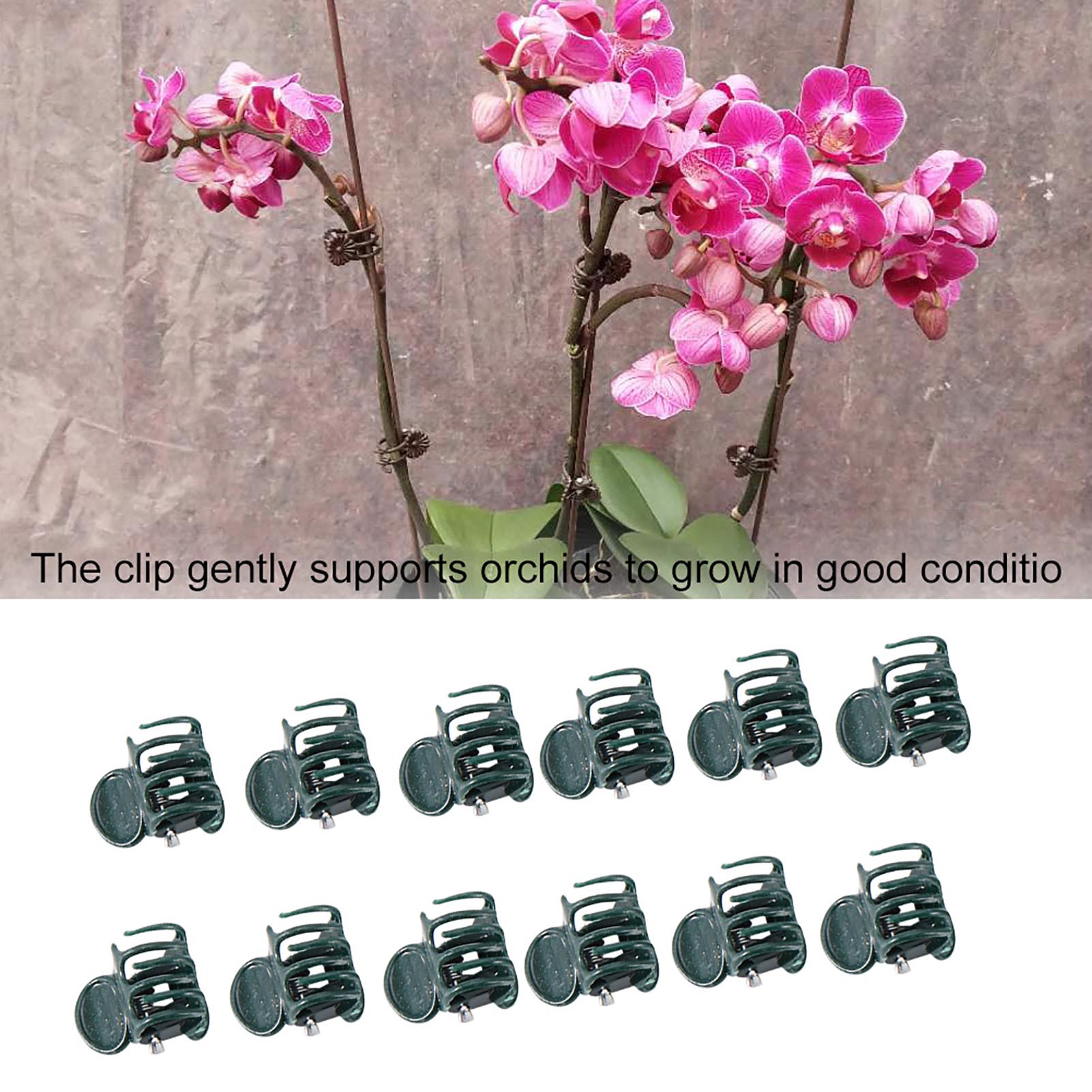 100pcs Mini Plant Clips Garden - Florist Supply Bulk review and price