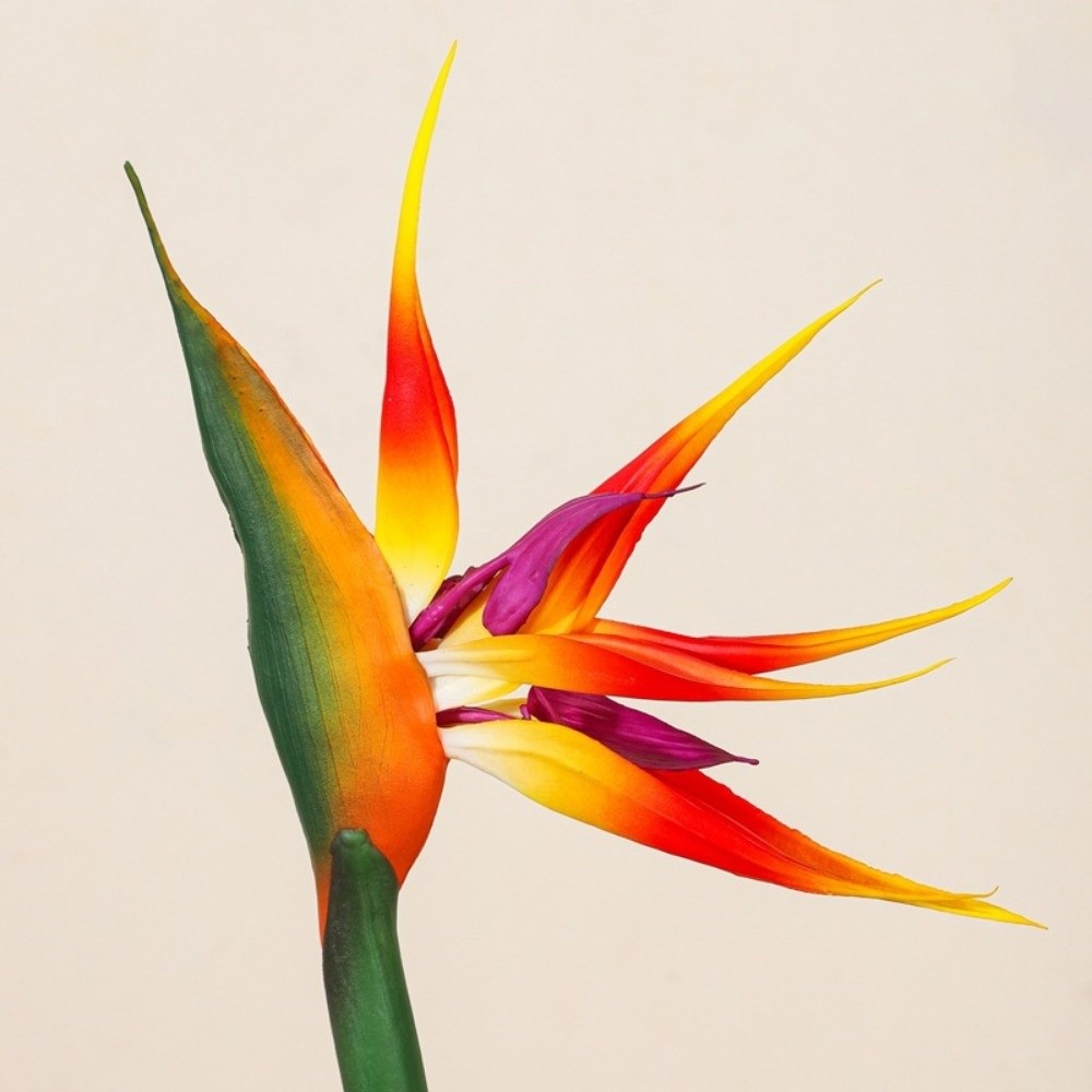 New Long Stem Artificial Bird  - Florist Supply Bulk review and price
